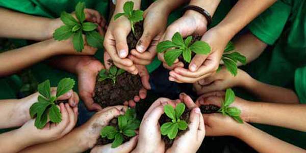 iniziativa ambientale